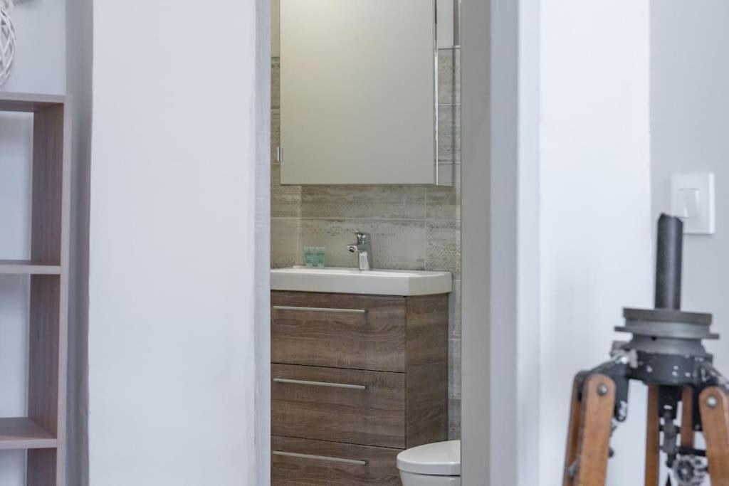 Magnolia Magnifique T2 Entierement Renove. Apartment Монтобан Екстериор снимка